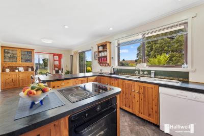 3
 
 
 
  
 
 
 2
 
 
 
  
 
 
 6
 
 
 
 
 
 
 
 47 Morris Road, Melrose TAS 7310, Melrose - Thumbnail 7