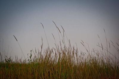5 stunning acres within minutes of Samford Village. A very rare find.