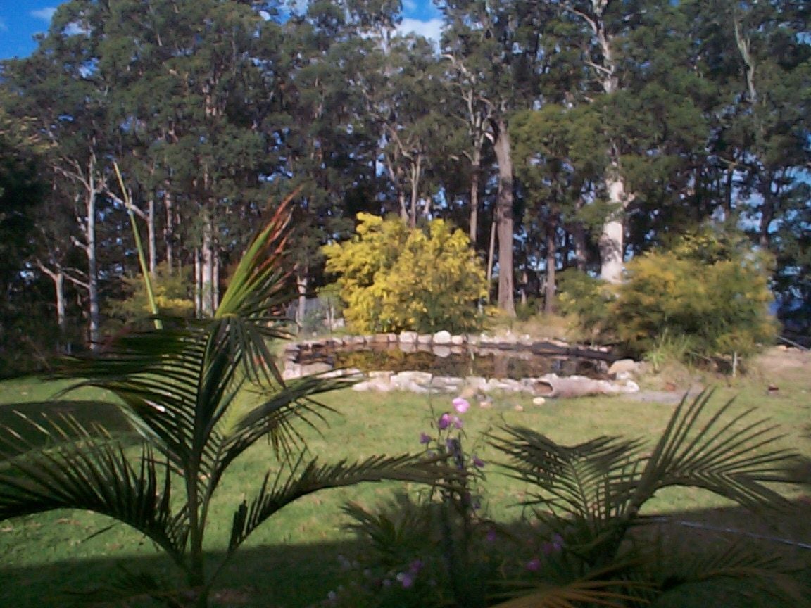 Lot 204 Misty Vale Way, HOLLISDALE NSW 2446
