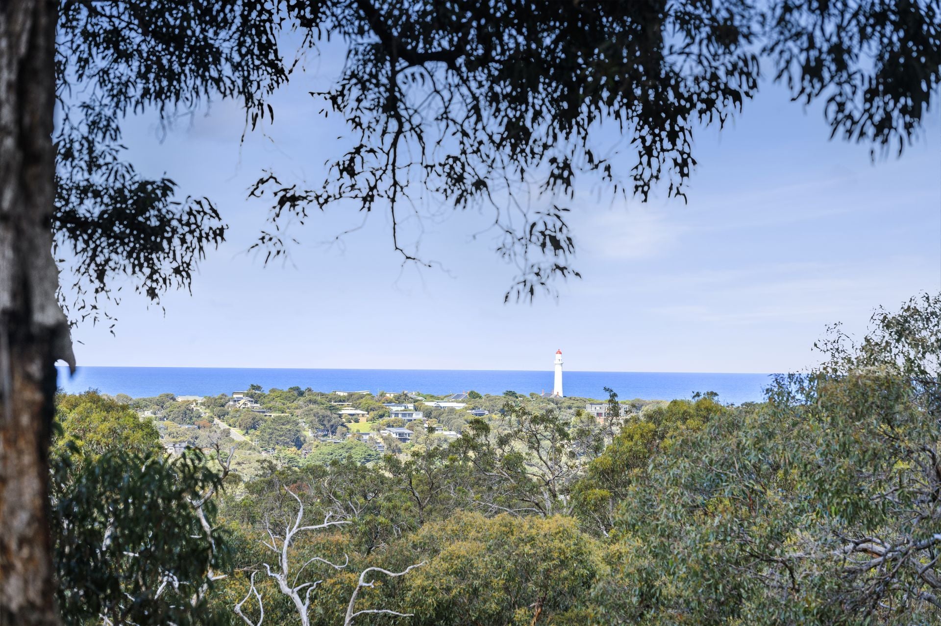 90 Bimbadeen Drive, Fairhaven - Thumbnail 3
