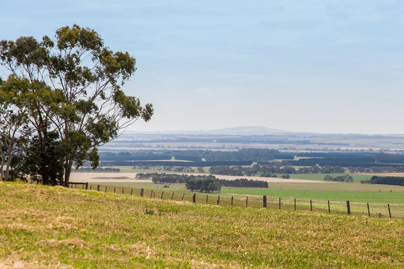 1130 Winchelsea-Deans Marsh Road, Bambra, VIC, Bambra - Image 1