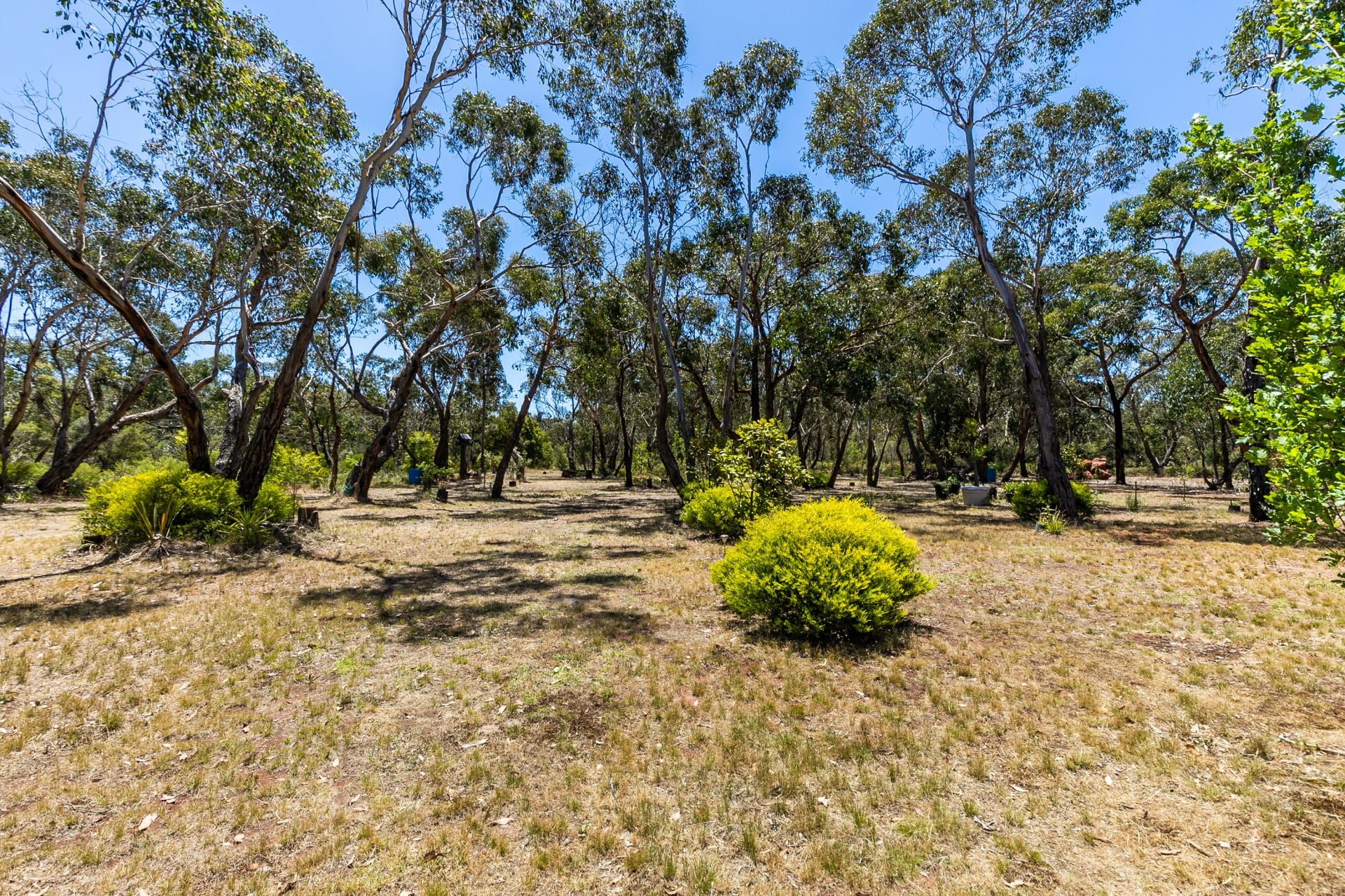 1 Wilkins Street, Anglesea - Thumbnail 4