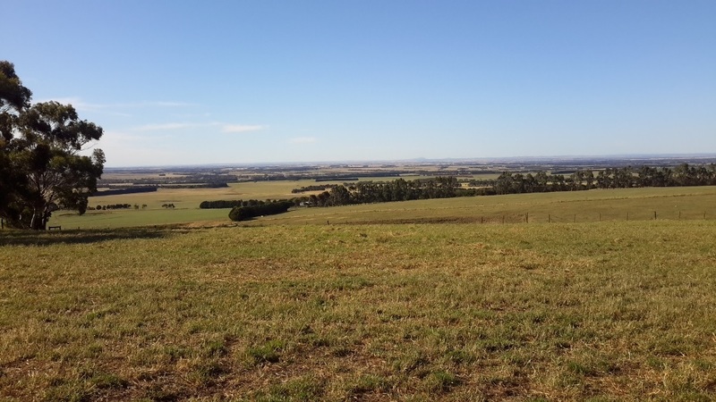 1130 Winchelsea-Deans Marsh Road BAMBRA VIC, Bambra - Thumbnail 7