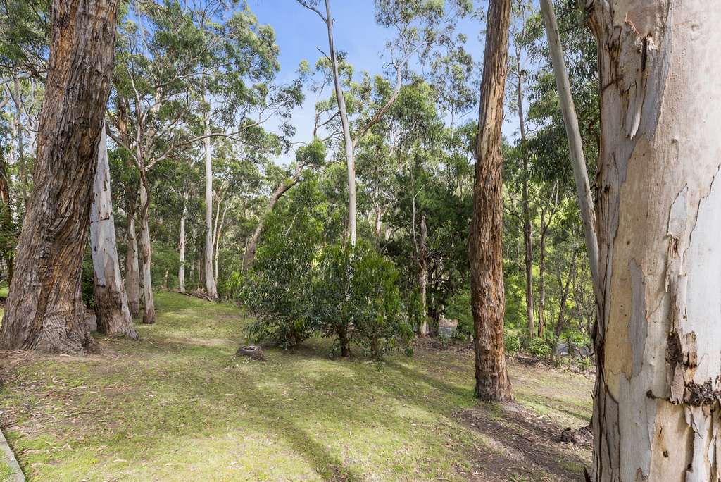 65 Old Coach Road, Skenes Creek, VIC, Skenes Creek - Thumbnail 5