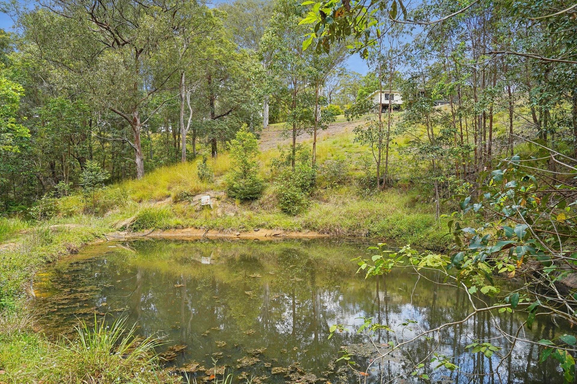 357 Hunchy Road Hunchy QLD, Hunchy - Thumbnail 6
