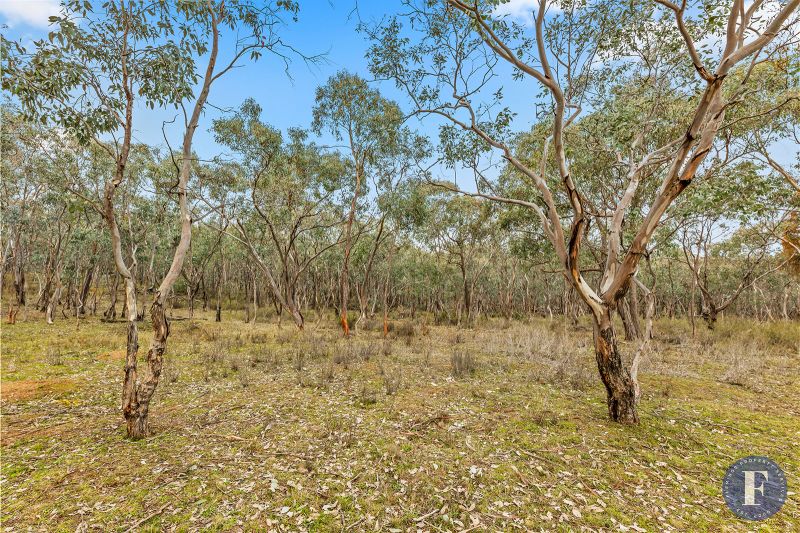 29 Caringa Road Road, Godfreys Creek NSW, Godfreys Creek - Thumbnail 3