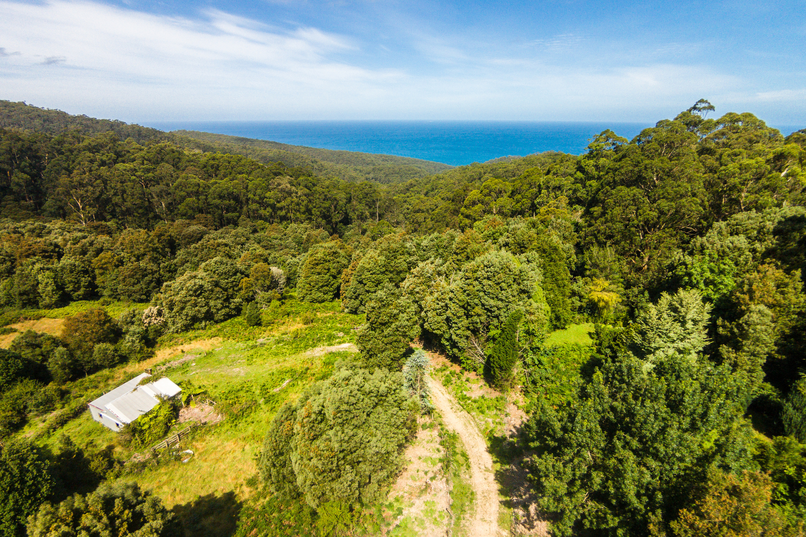 290 Kennett Road, Kennett River, VIC, Kennett River - Thumbnail 2