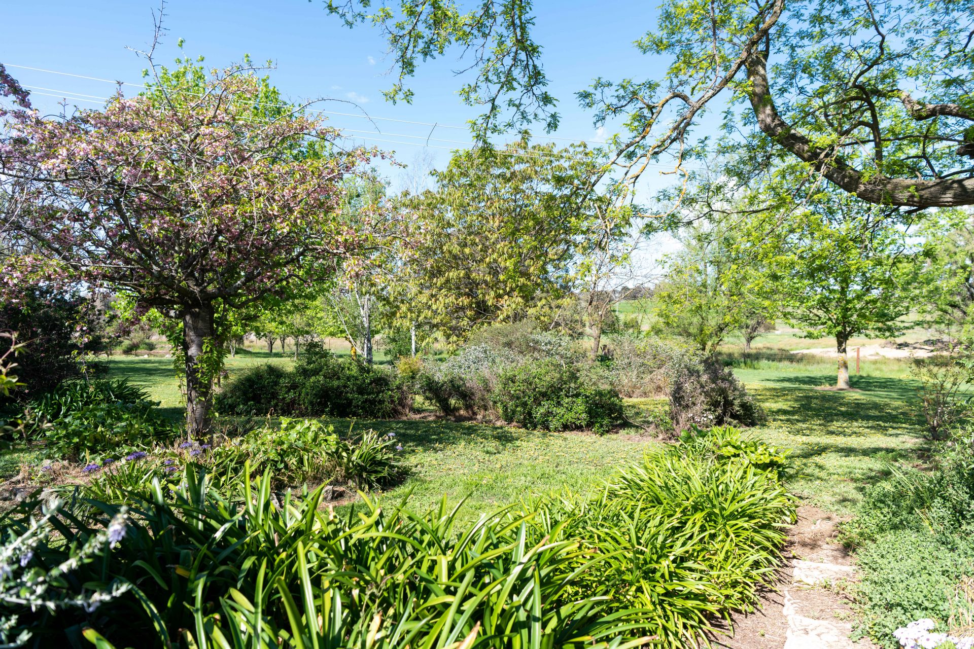 890 Perks Road, Rugby NSW, Rugby - Image 1