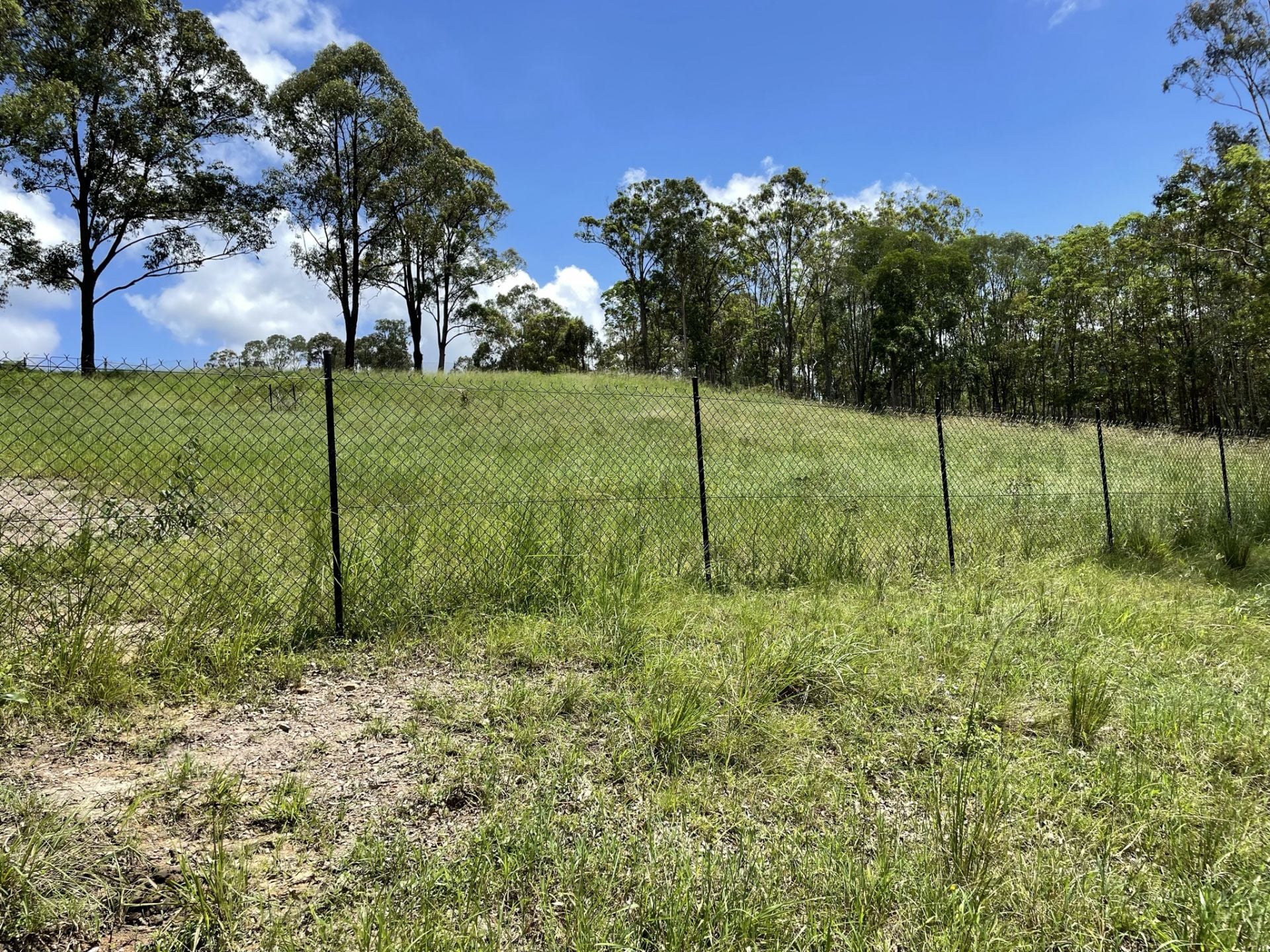 385 Raynbird Road Narangba QLD, Narangba - Thumbnail 8
