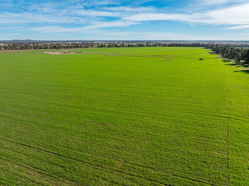 322 Blow Clear Road, Bogan Gate NSW 2876
