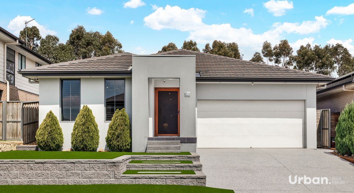 Colebee 51 Coronato Parade