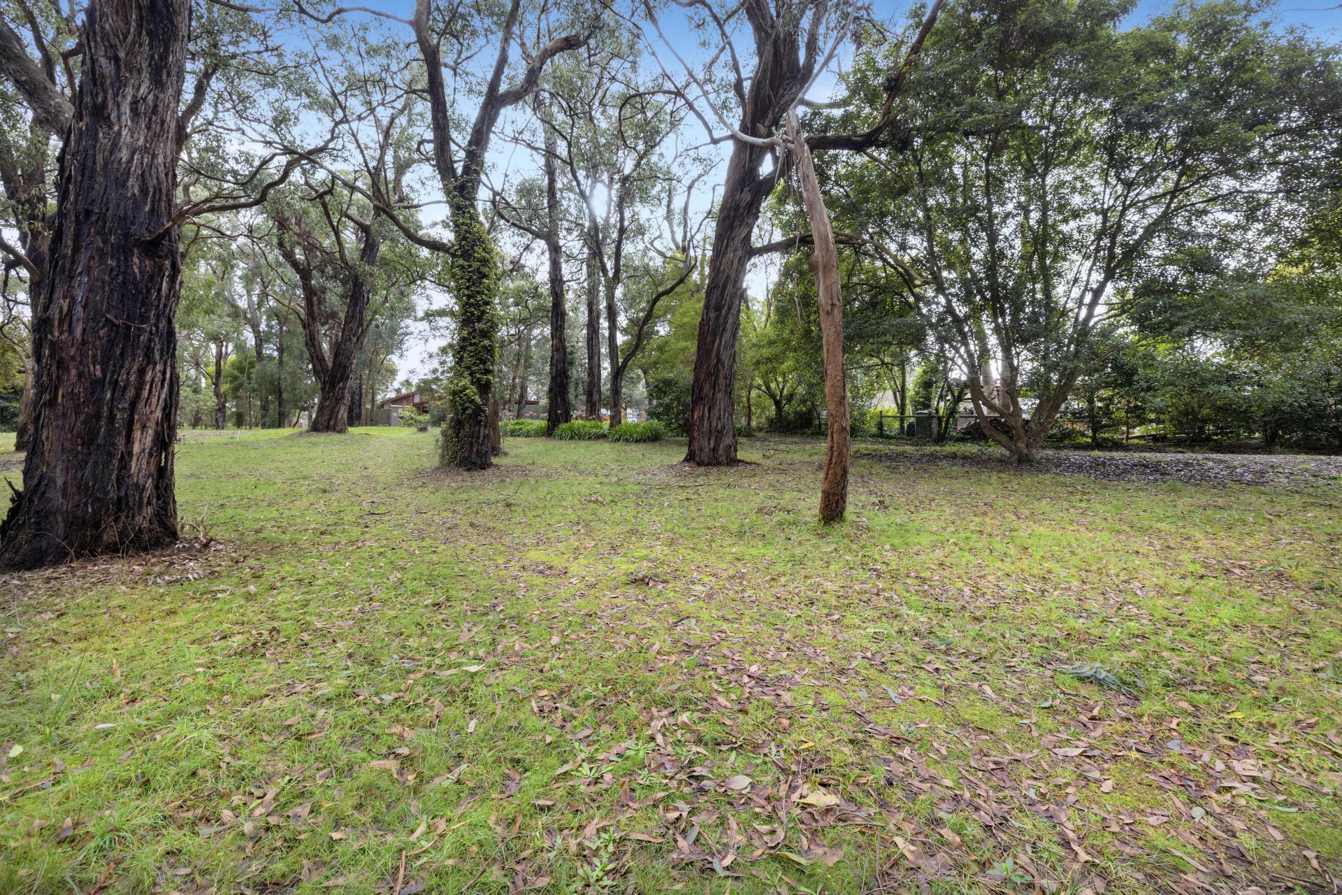 Kay & Burton 63 Red Hill Road, Red Hill South