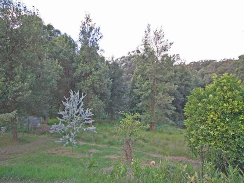 COLO HEIGHTS, NSW, Colo Heights - Thumbnail 7