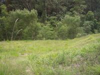 71 Martins Road BUDERIM QLD, Buderim - Thumbnail 5