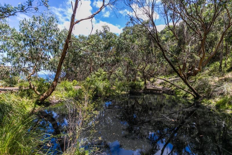 1223 Great Ocean Road, Lorne, VIC, Lorne - Thumbnail 6