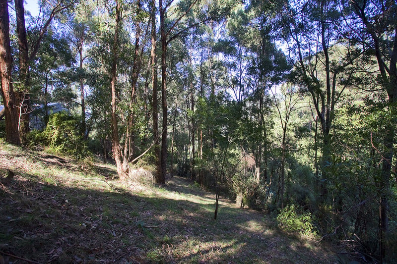 28 Karingal Drive, Wye River, VIC, Wye River - Thumbnail 5