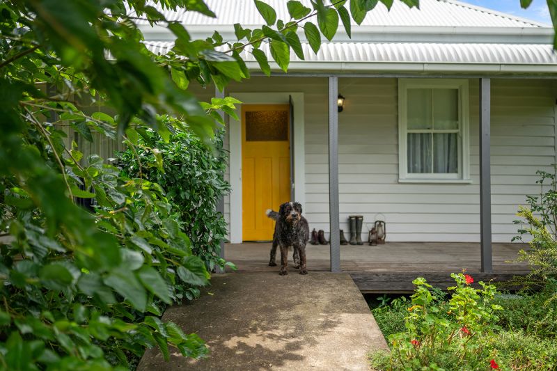 54 Berkeley Street Stroud NSW, Stroud - Image 1
