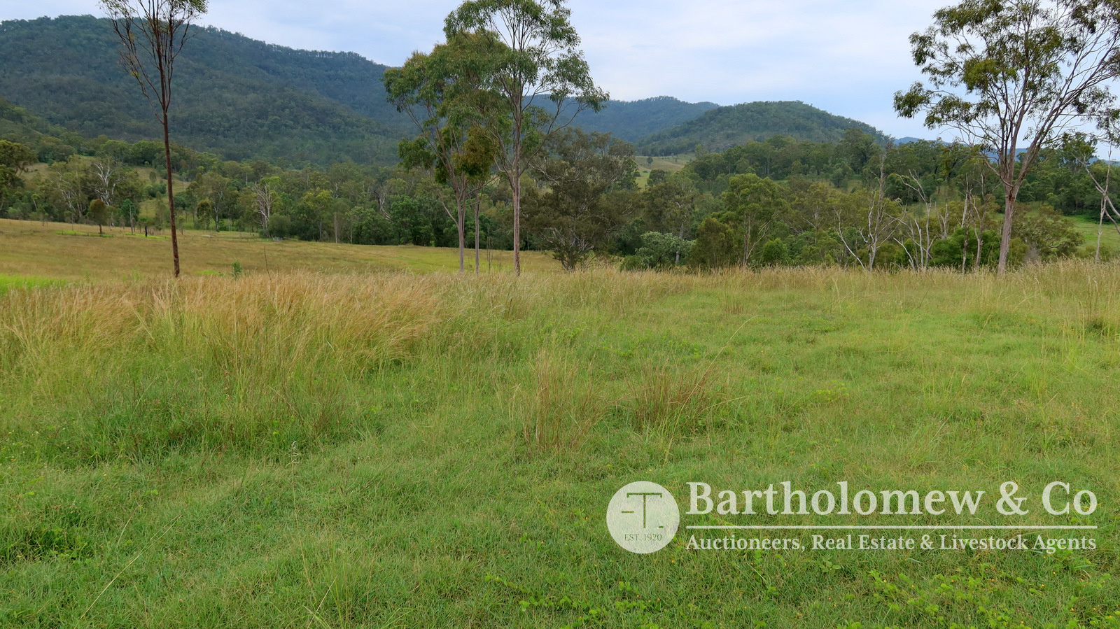 Real Estate For Sale Lot 73 Upper Allan Creek Road Bromelton , QLD