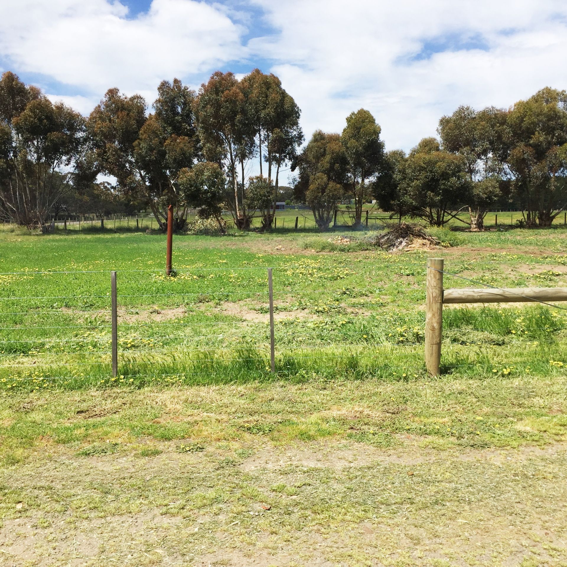 Real Estate For Lease 345 Melaluka Road Leopold , VIC