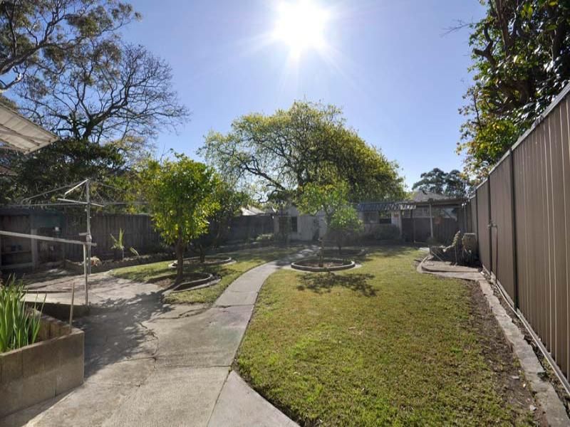 141 Ashley Street ROSEVILLE NSW, Roseville - Thumbnail 3