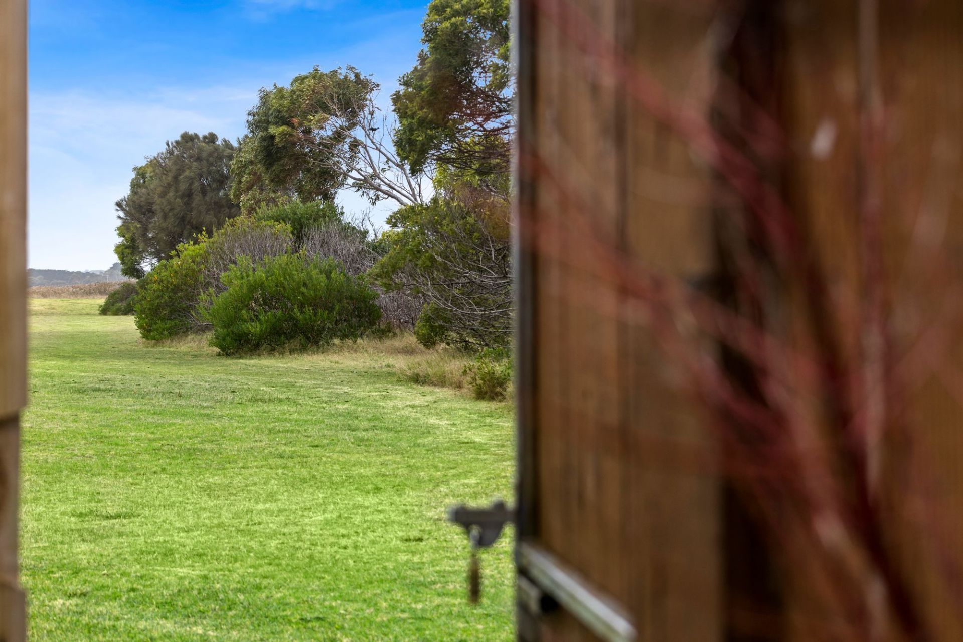 3/127 Bonnyvale Road Ocean Grove VIC, Ocean Grove - Thumbnail 8