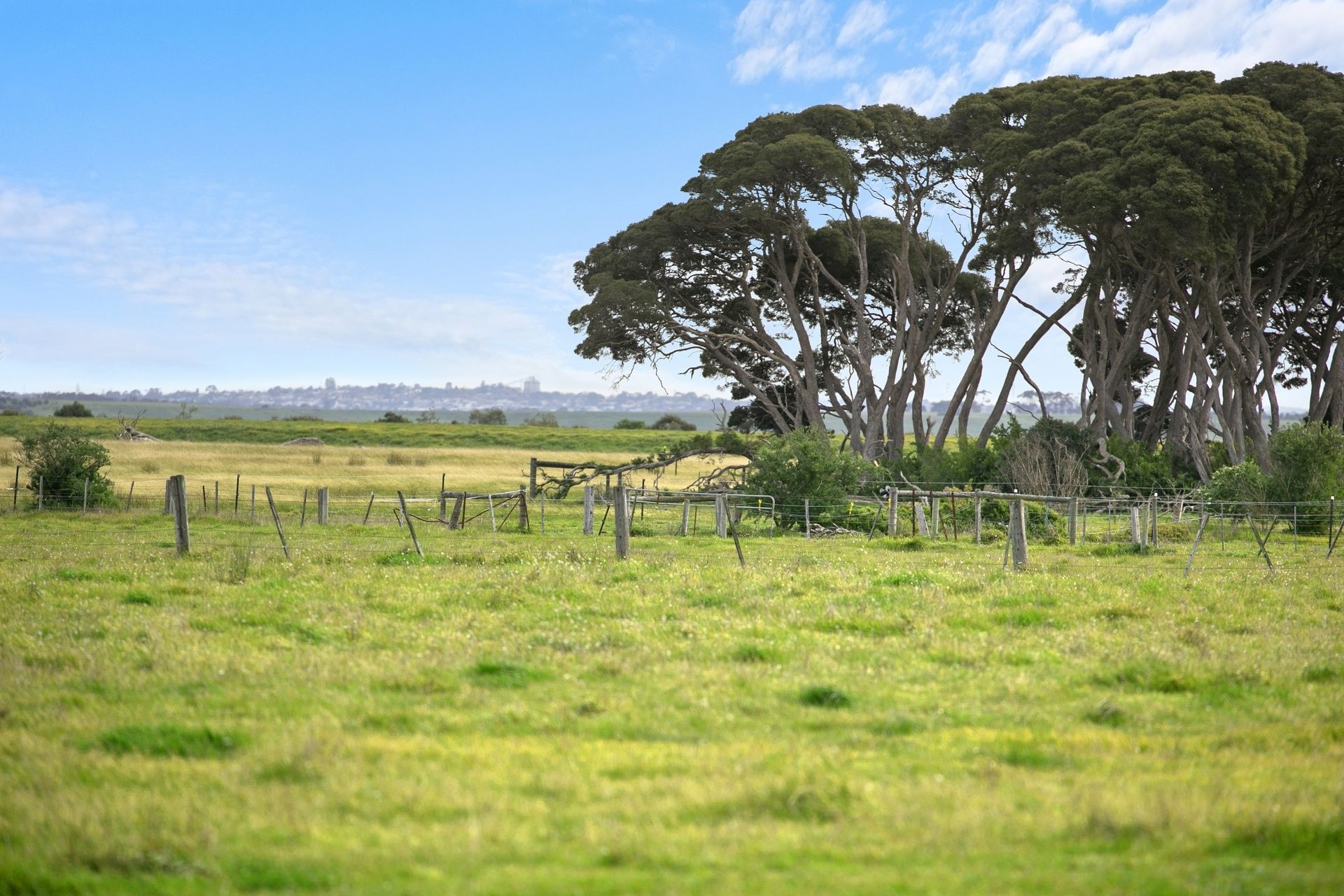 13 Glyndon Court Barwon Heads VIC, Barwon Heads - Thumbnail 3