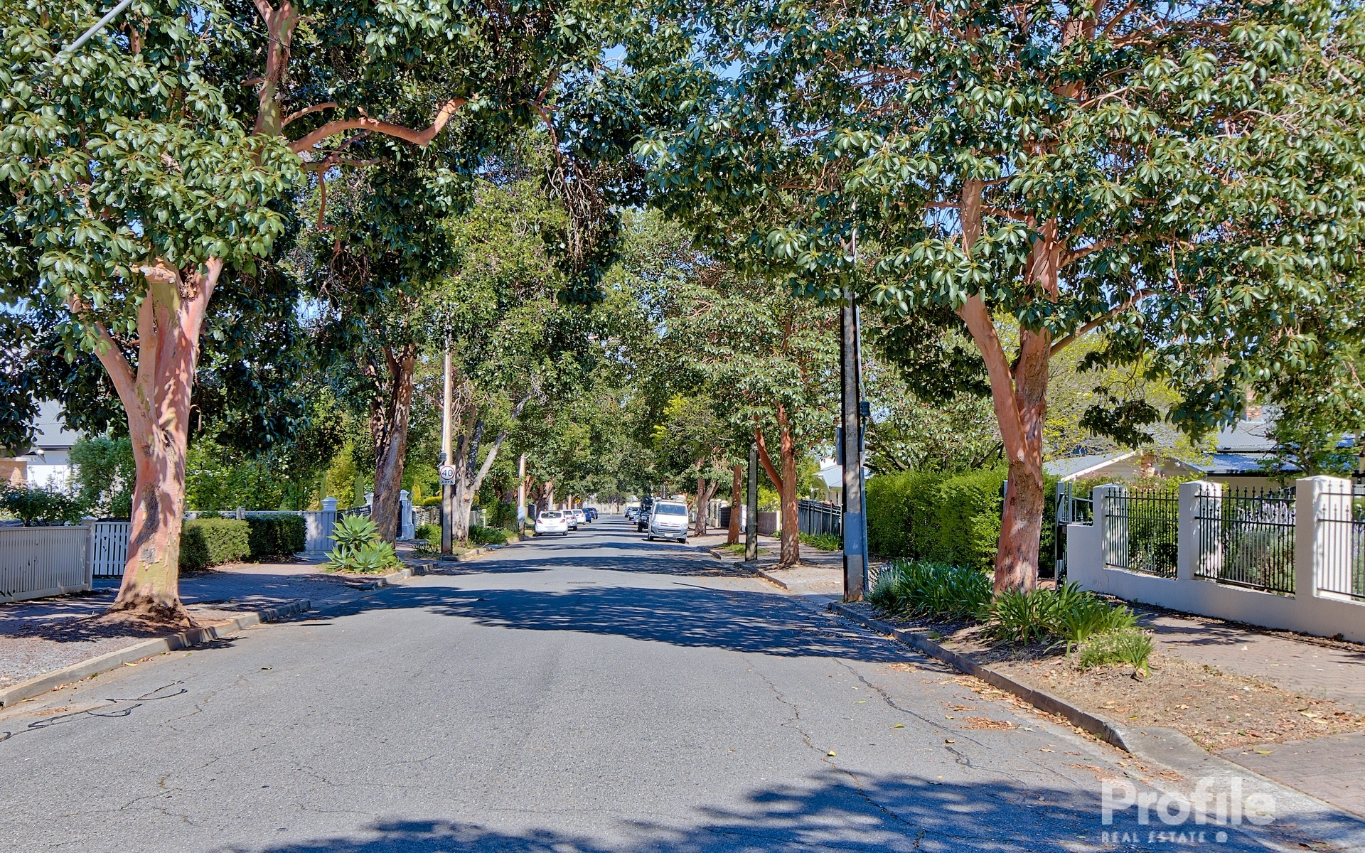 14 Invergowrie Avenue Highgate 5063