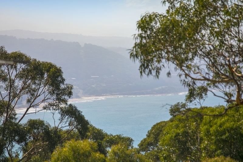 22 Charles Street, Lorne, VIC, Lorne - Thumbnail 7