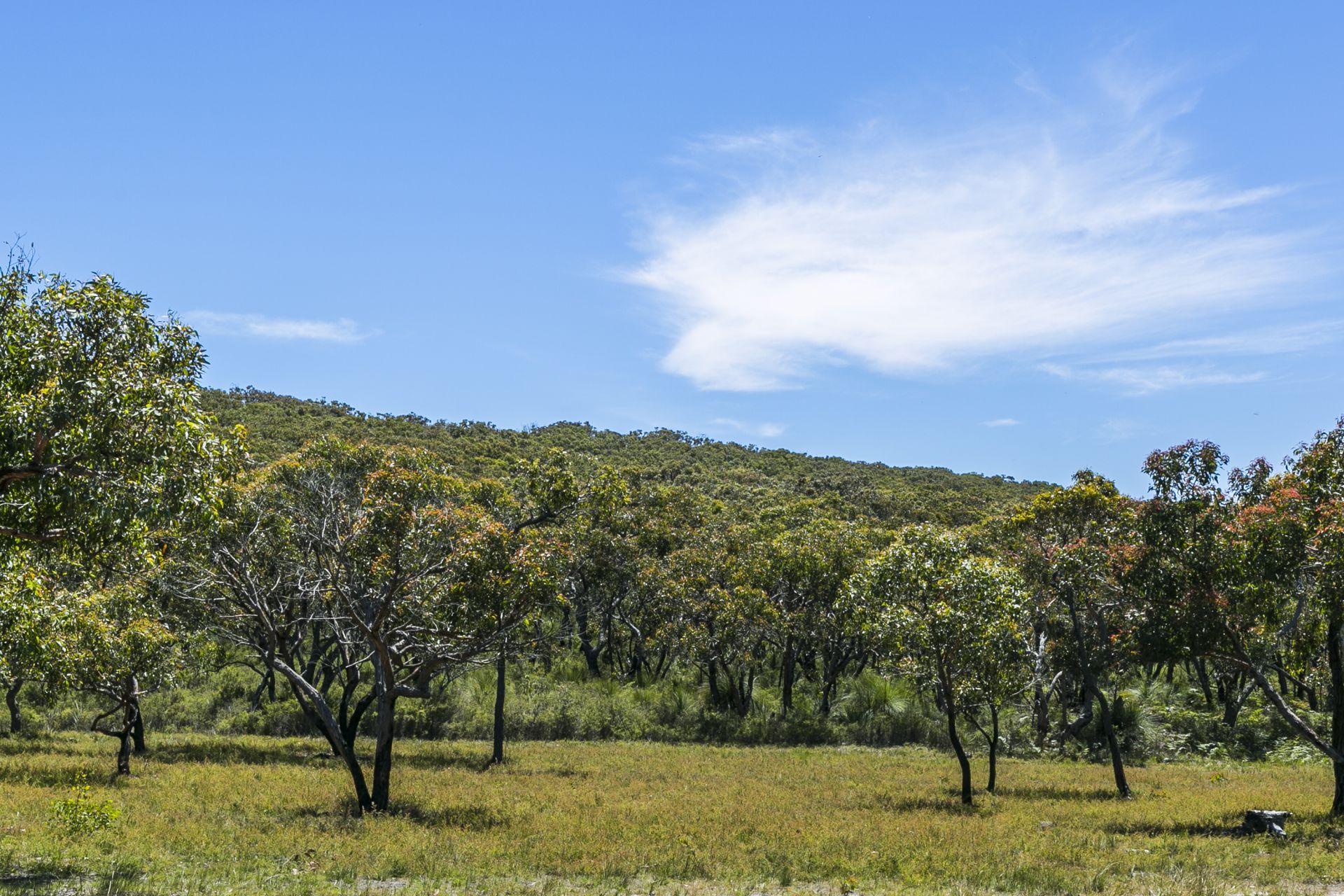 29 Forest Drive, Fairhaven - Thumbnail 4
