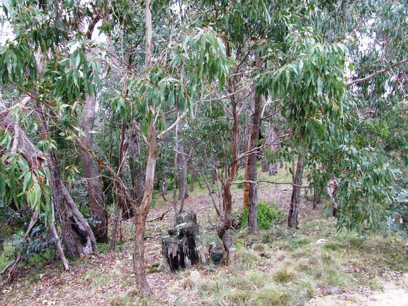 Lot 74 Kangaroo Road, Greendale - Thumbnail 6