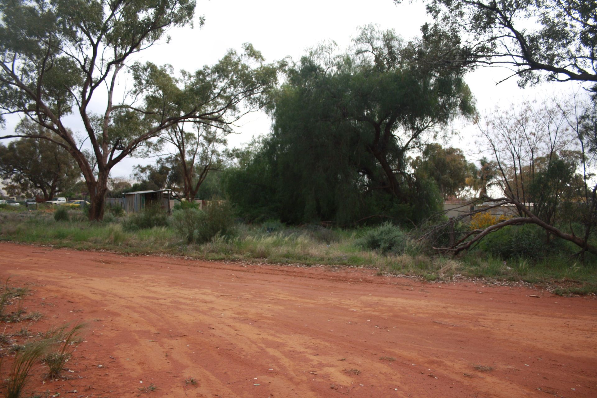 21 Illewong Street, Euabalong West, West - Thumbnail 8