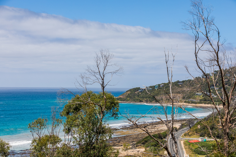 10 Olive Street, Separation Creek, VIC, Separation Creek - Thumbnail 2
