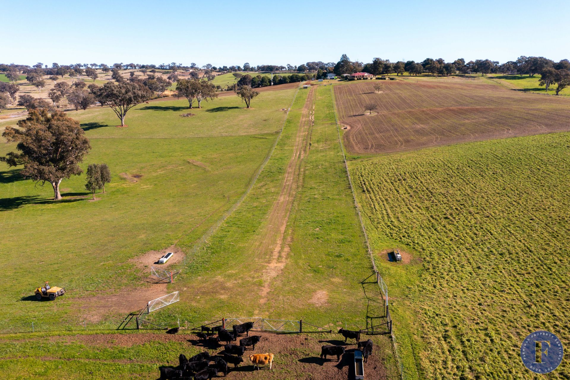 940 Olympic Highway, Young NSW, Young - Thumbnail 3