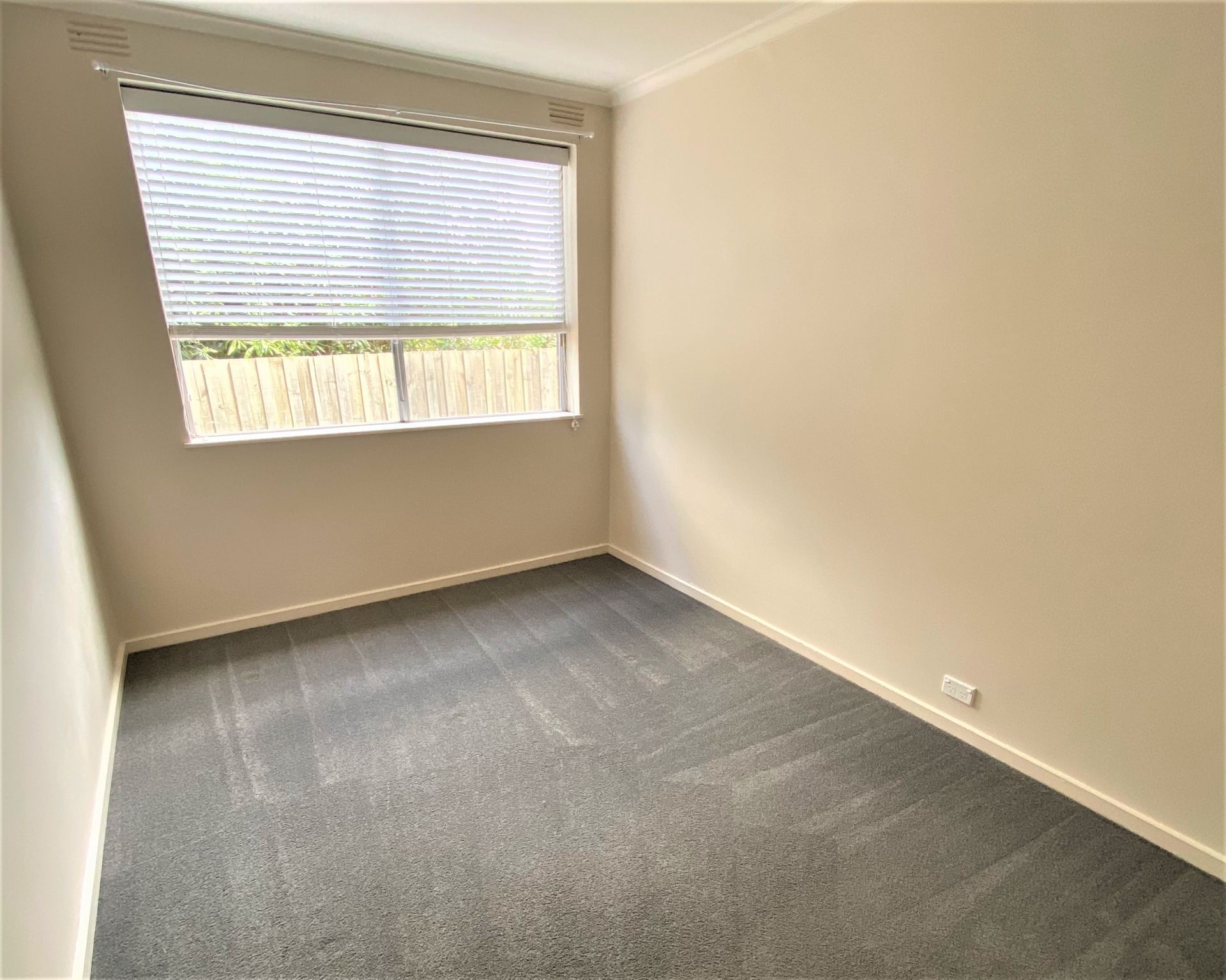 Bright, Renovated Apartment!