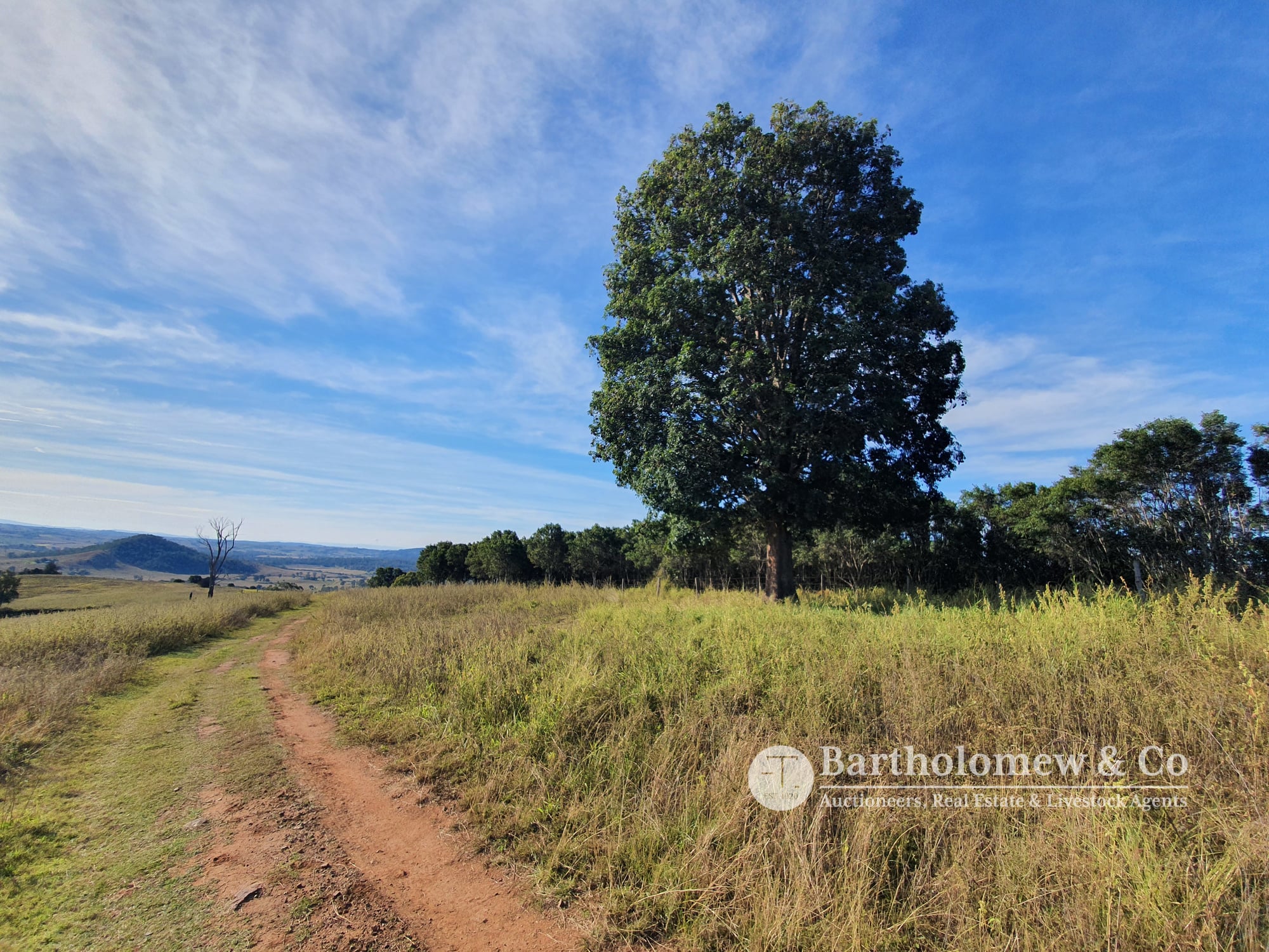 Real Estate For Sale Lot 288 SCHLIEFF ROAD Allandale , QLD