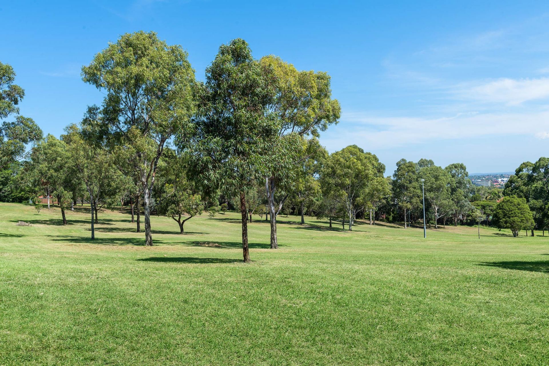 SOLD 'Waratah'  an Adorable Semi with Character and Style