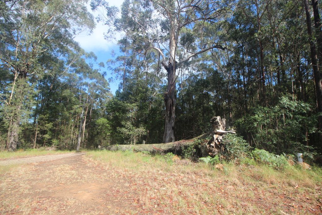 , TELEGRAPH POINT NSW 2441