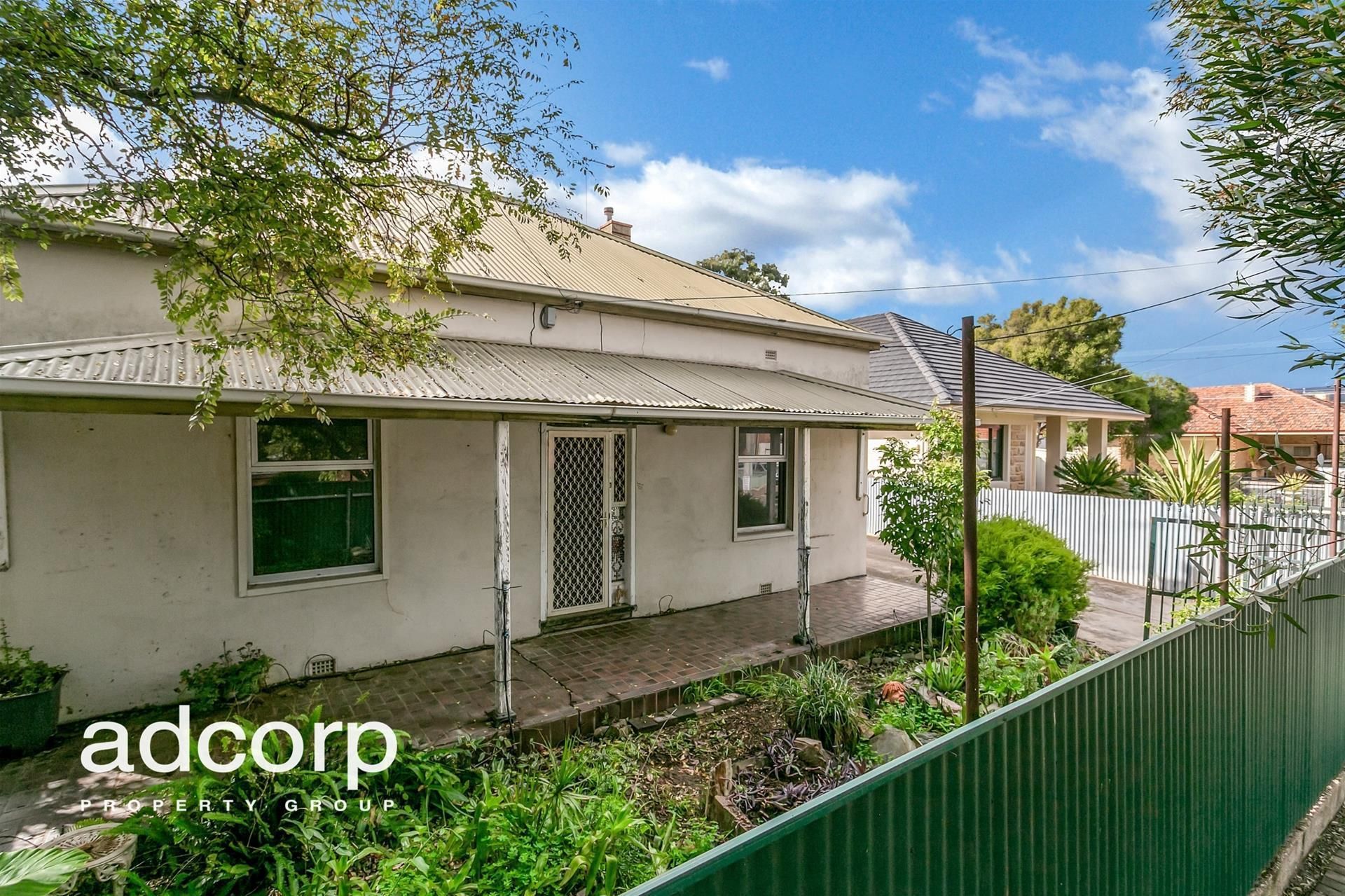 19 Barnett Avenue Glynde SA, Glynde - Thumbnail 3