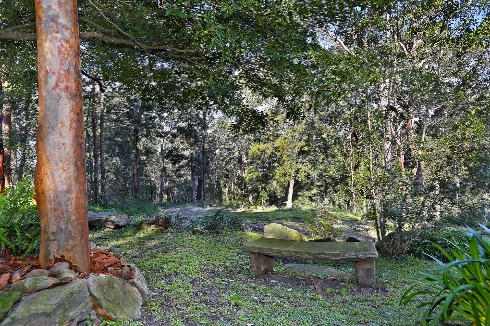 63 Bowen Mountain Road, Bowen Mountain - Thumbnail 8