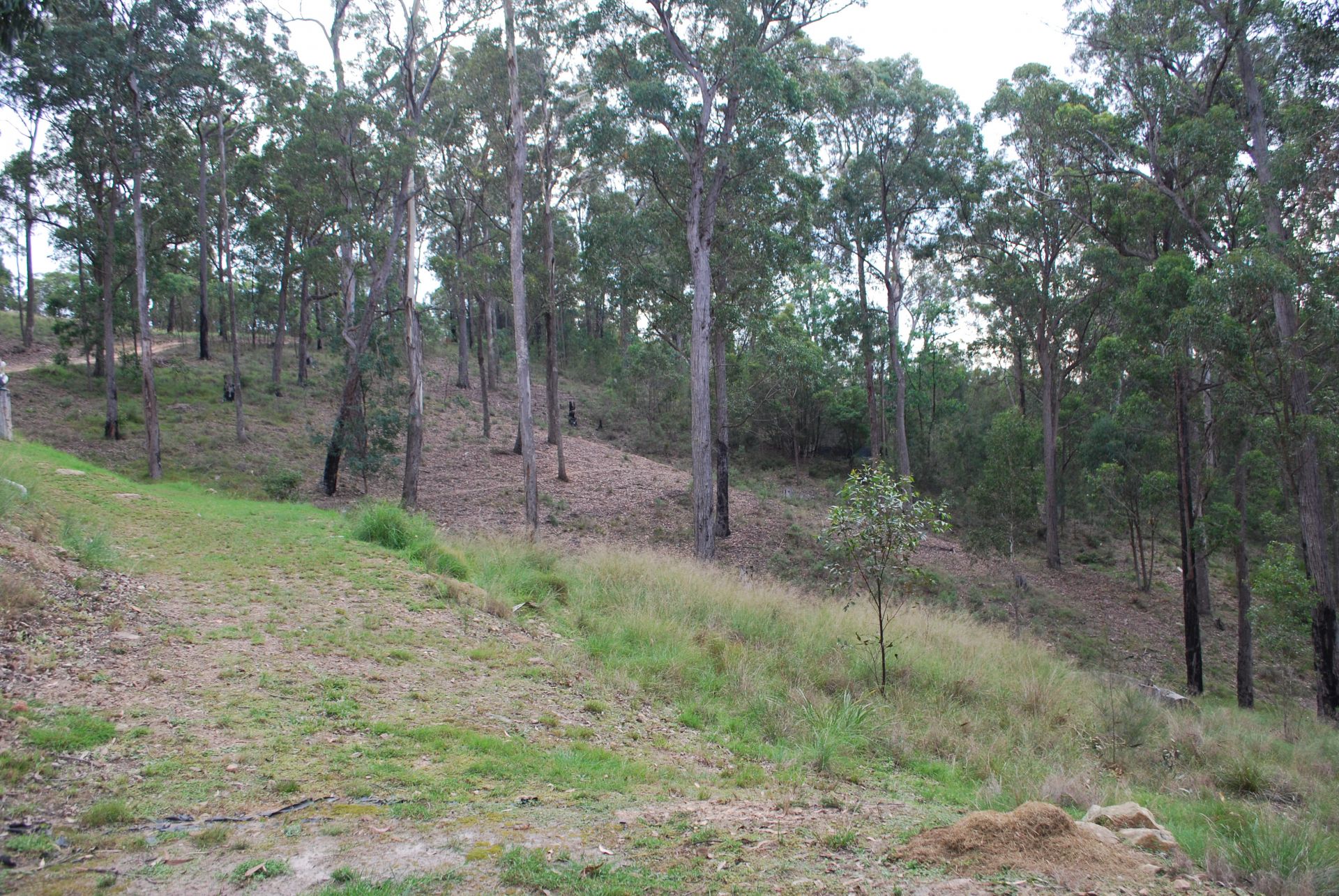 8 Ferngully Lane, Millingandi