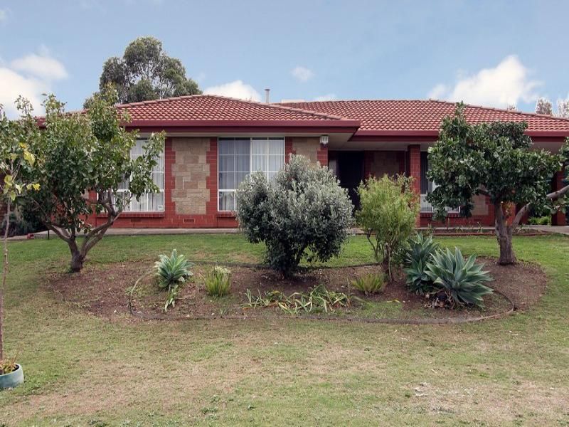 101 Carruthers Drive Modbury North 5092