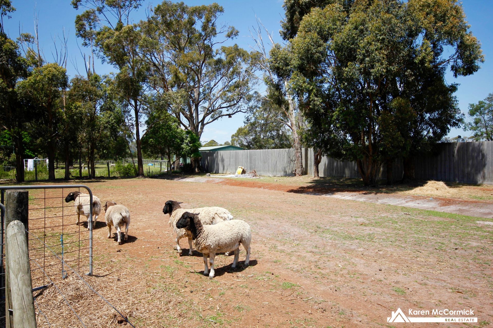 10 Collett Street, Longwarry Karen McCormick Real Estate