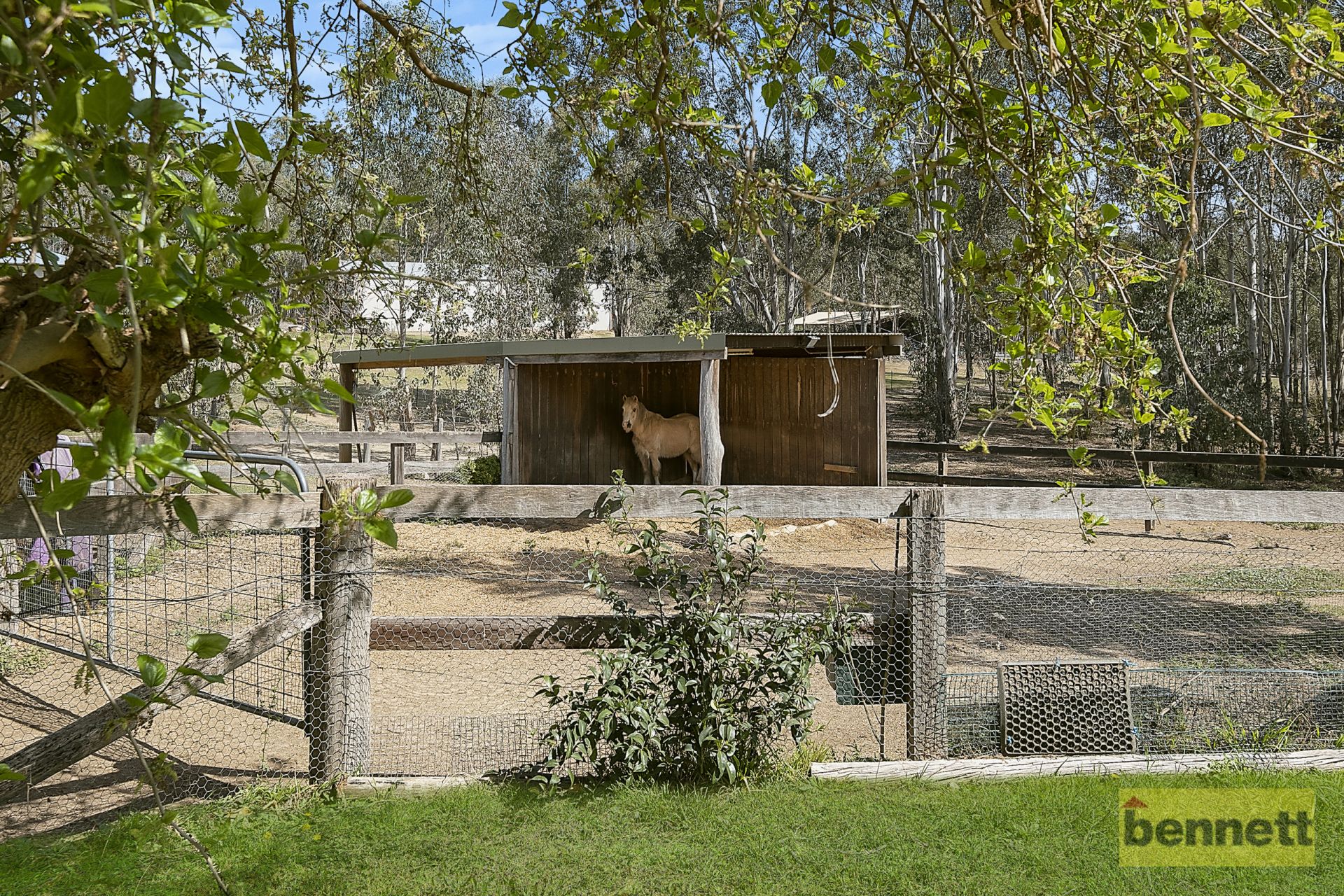 33 Reserve Road, Freemans Reach - Thumbnail 6