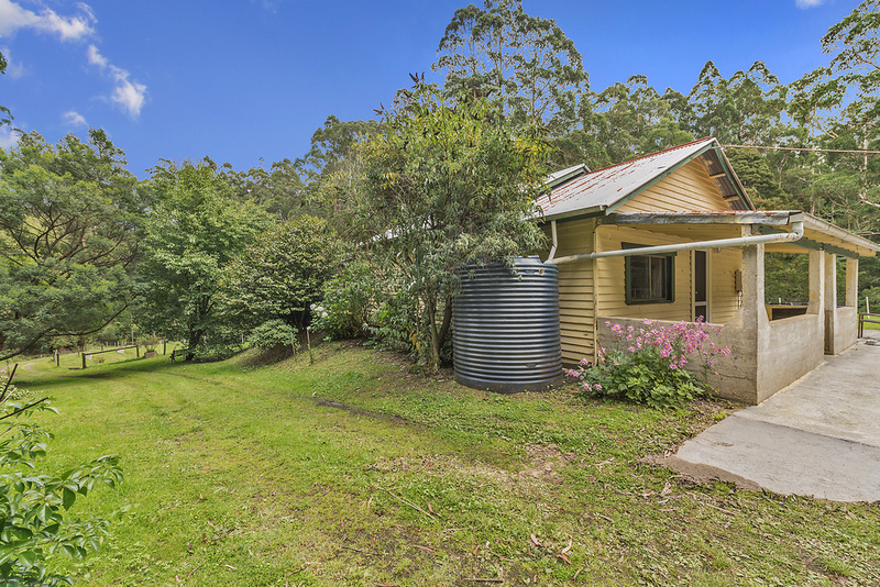 860 Barham River Road, Apollo Bay, VIC, Apollo Bay - Thumbnail 5