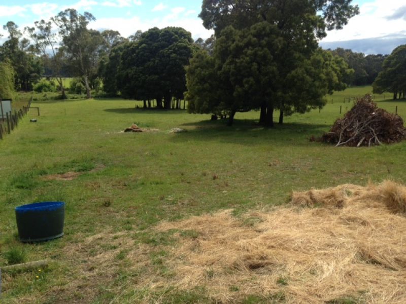 59 Kimberley Road, Railton, Railton - Thumbnail 7