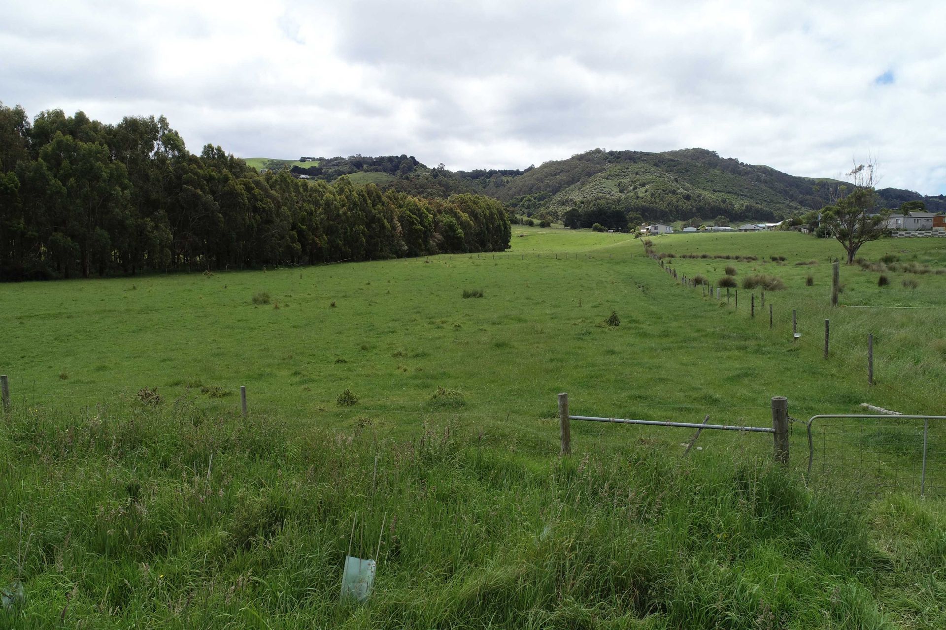 92 Montrose Avenue, Apollo Bay - Thumbnail 5