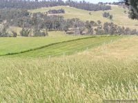 859 Snowy River Road, Wulgulmerang - Image 1
