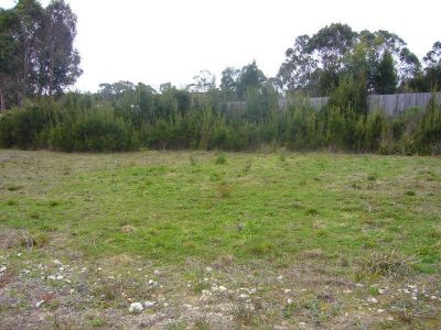 110 River Road, DEVONPORT, Devonport - Thumbnail 3