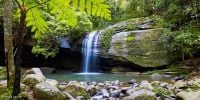 55 Gloucester Road Buderim QLD, Buderim - Thumbnail 6