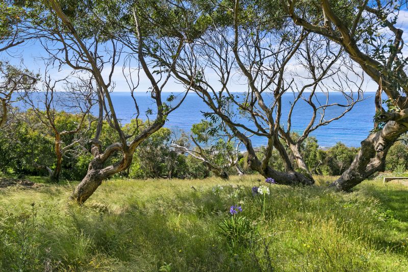 61 Morley Avenue, Wye River, VIC, Wye River - Thumbnail 3